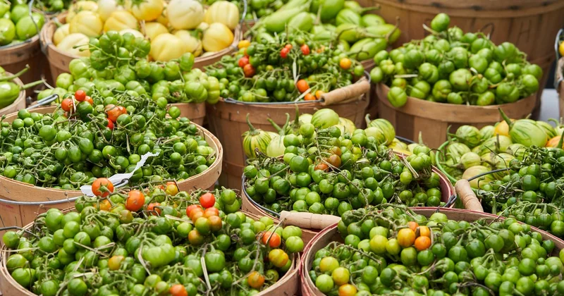 Choisir et préparer les aubergines : l'étape que tout le monde bâcle