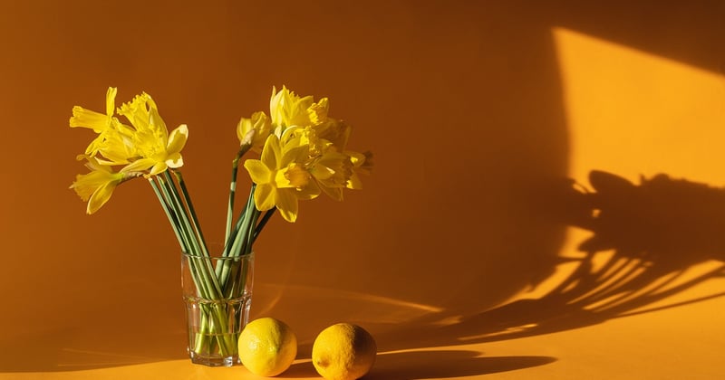 Recette houmous maison crémeux pour apéritif : le secret des pros