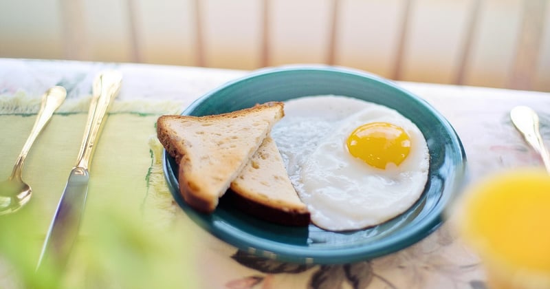 20 idees de repas vegetariens riches en proteines qui rassasient