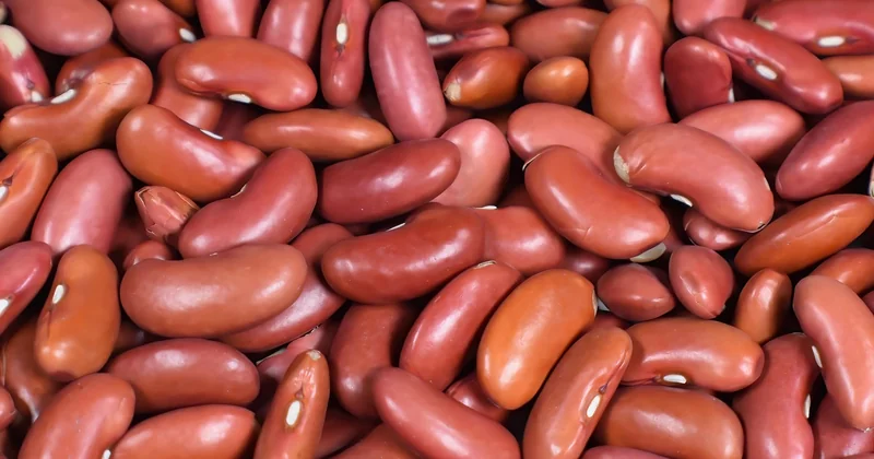 Les ingrédients, et surtout : quels haricots rouges choisir ?