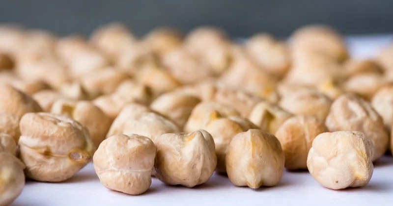 Houmous avec pois chiches en boîte : vraiment acceptable ?