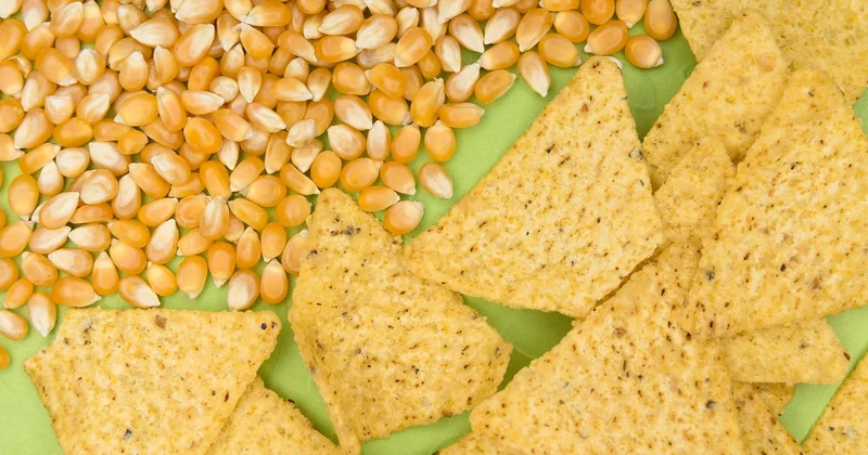 La recette des tortillas maison, pas à pas